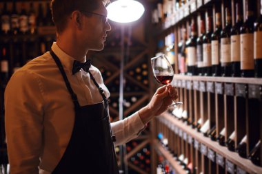 Şarap dükkanındaki mağara adamı, restorandaki şarap garsonu, şarap eleştirmeni. Şarap Depolama.