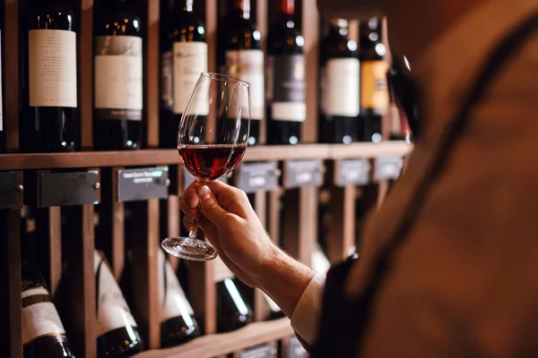 Experto en vino sostiene una copa de vino, mira el tinte y huele sabor, degustación —  Fotos de Stock