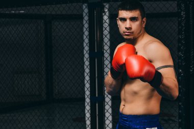 Boks stüdyosunda atletik erkek boksör eğitimi alıyor, savunma pozisyonunda duruyor..