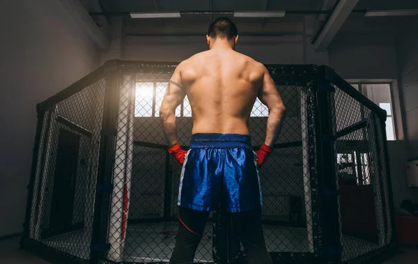 Baksidan av muskulös manlig idrottsman med ansträngda muskler i överkroppen inomhus — Stockfoto
