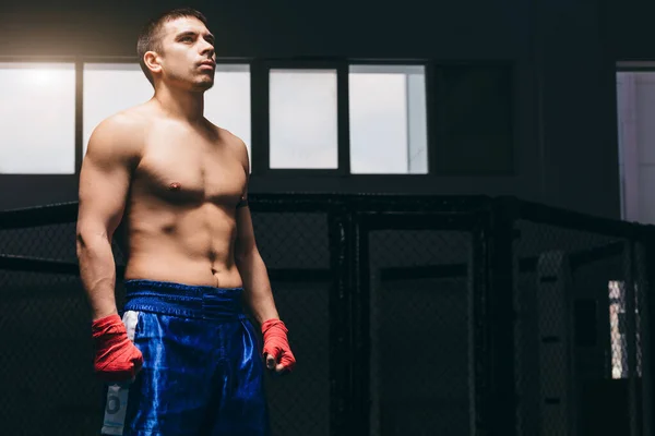 Close up de atleta masculino com abdominais perfeitos, ombros, bíceps e peito — Fotografia de Stock