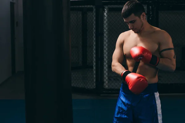 Luchador musculoso practicando con saco de boxeo interior. —  Fotos de Stock