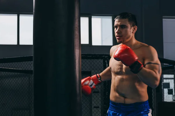 Boxeador masculino em luvas vermelhas fazendo treino de boxe cardio com saco de perfuração — Fotografia de Stock