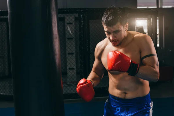 Boxeador masculino em luvas vermelhas fazendo treino de boxe cardio com saco de perfuração — Fotografia de Stock