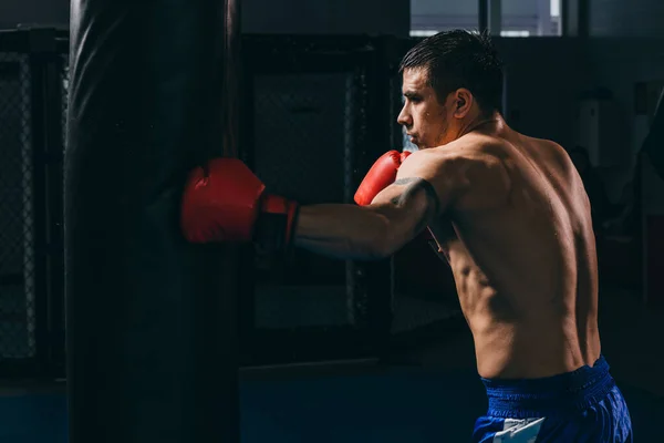 Samec boxer v červených rukavicích dělá kardio box cvičení s boxovací pytel — Stock fotografie