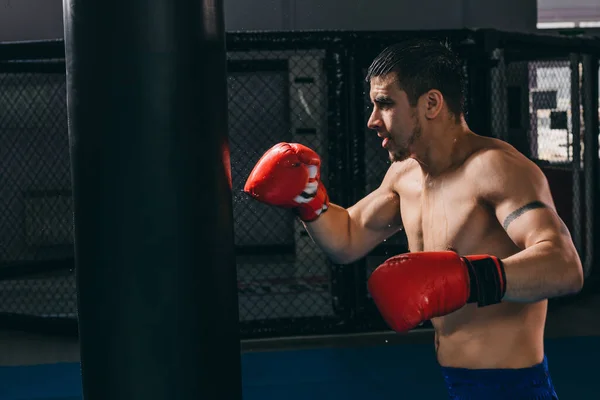 Boxeador masculino en guantes rojos haciendo entrenamiento de boxeo cardiovascular con saco de boxeo —  Fotos de Stock