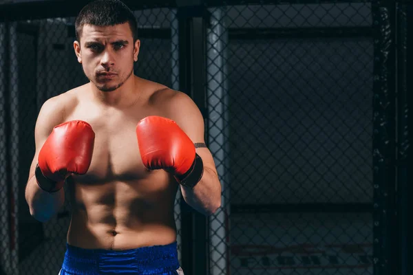 Atletisk manlig boxare träning på boxningsstudio, stående i defensiv ställning. — Stockfoto