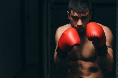 Boks stüdyosunda atletik erkek boksör eğitimi alıyor, savunma pozisyonunda duruyor..