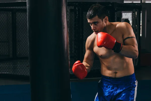 Man boxare i röda handskar gör cardio boxning träning med boxningssäck — Stockfoto