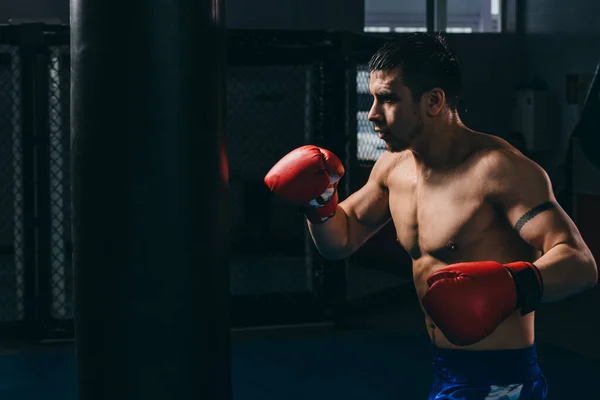 Boxeador masculino en guantes rojos haciendo entrenamiento de boxeo cardiovascular con saco de boxeo —  Fotos de Stock