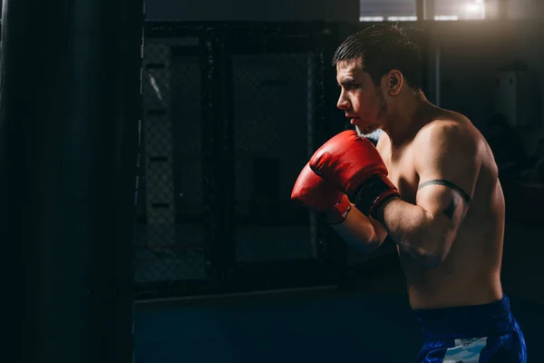 Boxeador masculino em luvas vermelhas fazendo treino de boxe cardio com saco de perfuração — Fotografia de Stock