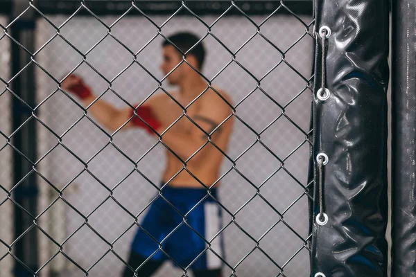 Boxeador masculino ejercitando los músculos durante el entrenamiento crossfit del núcleo corporal en interiores —  Fotos de Stock