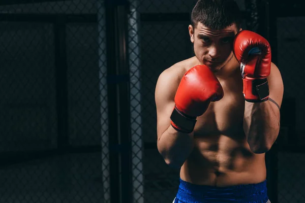 Sportovní trénink mužského boxera v boxerském studiu, stojící v obranném postoji. — Stock fotografie