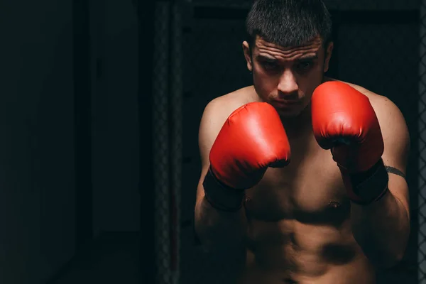 Entrenamiento atlético de boxeador masculino en el estudio de boxeo, de pie en postura defensiva. —  Fotos de Stock