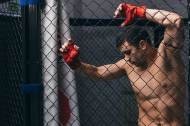 Çıplak gövdeli boksör boks ringinde örülmüş rabitz ağlarına karşı poz veriyor.