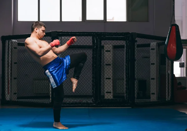 Boxer parece forte e poderoso, pratica chutes, aquece antes do jogo indoor — Fotografia de Stock
