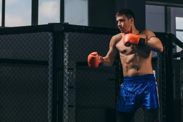 Sportsman raises clenched fists, stands in defense, ready punch opponent. — Stock Photo, Image