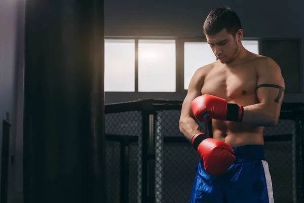 Svalnatý a pracovitý bojovník cvičí s boxovacím pytlem uvnitř. — Stock fotografie