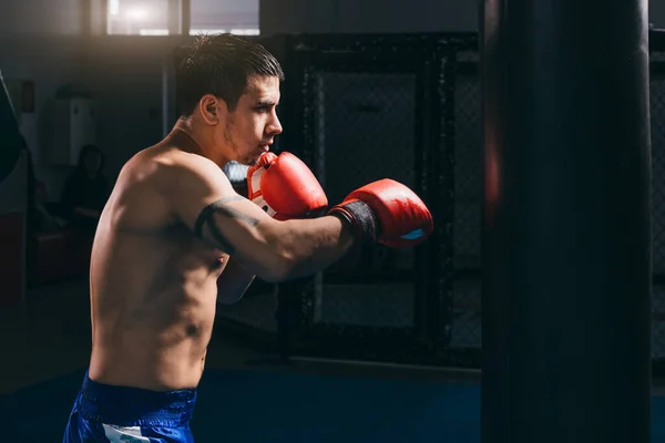 Boxeador masculino em luvas vermelhas fazendo treino de boxe cardio com saco de perfuração — Fotografia de Stock