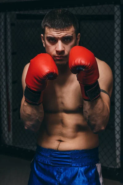 Entrenamiento atlético de boxeador masculino en el estudio de boxeo, de pie en postura defensiva. —  Fotos de Stock