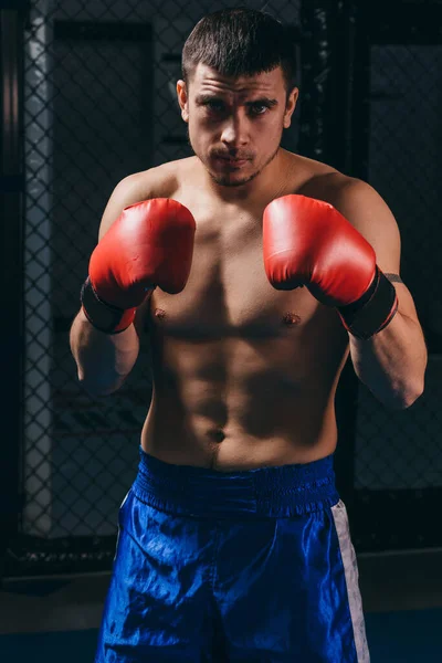 Entrenamiento atlético de boxeador masculino en el estudio de boxeo, de pie en postura defensiva. —  Fotos de Stock