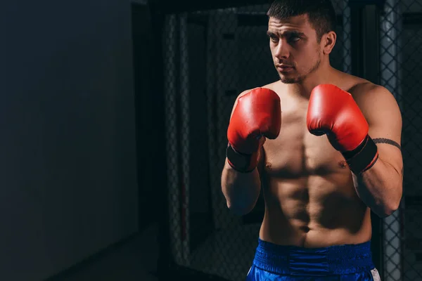 Athletic male boxer training at boxing studio, standing in defensive stance. — Stock Photo, Image