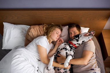 Güzel evli çift yatakta köpekle uyur.