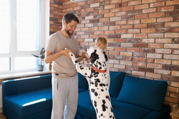 Pohledný vousatý muž hrát se psem doma — Stock fotografie