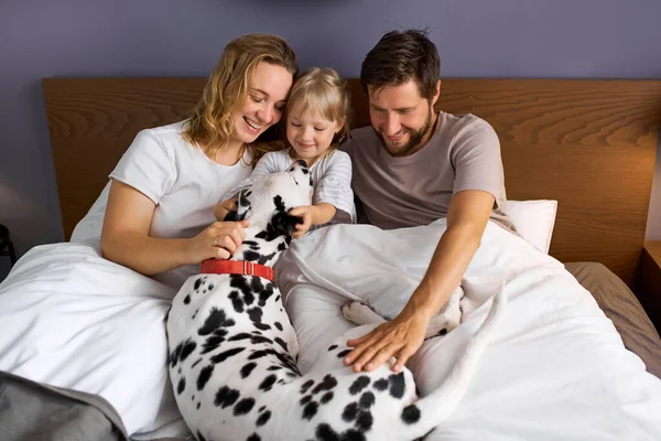 Νεαρή οικογένεια, άντρας γυναίκα και κόρη παίζουν με το σκυλί στο κρεβάτι — Φωτογραφία Αρχείου