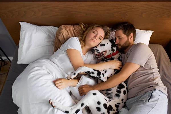 Portret van slaperig paar liggend op bed met hond — Stockfoto