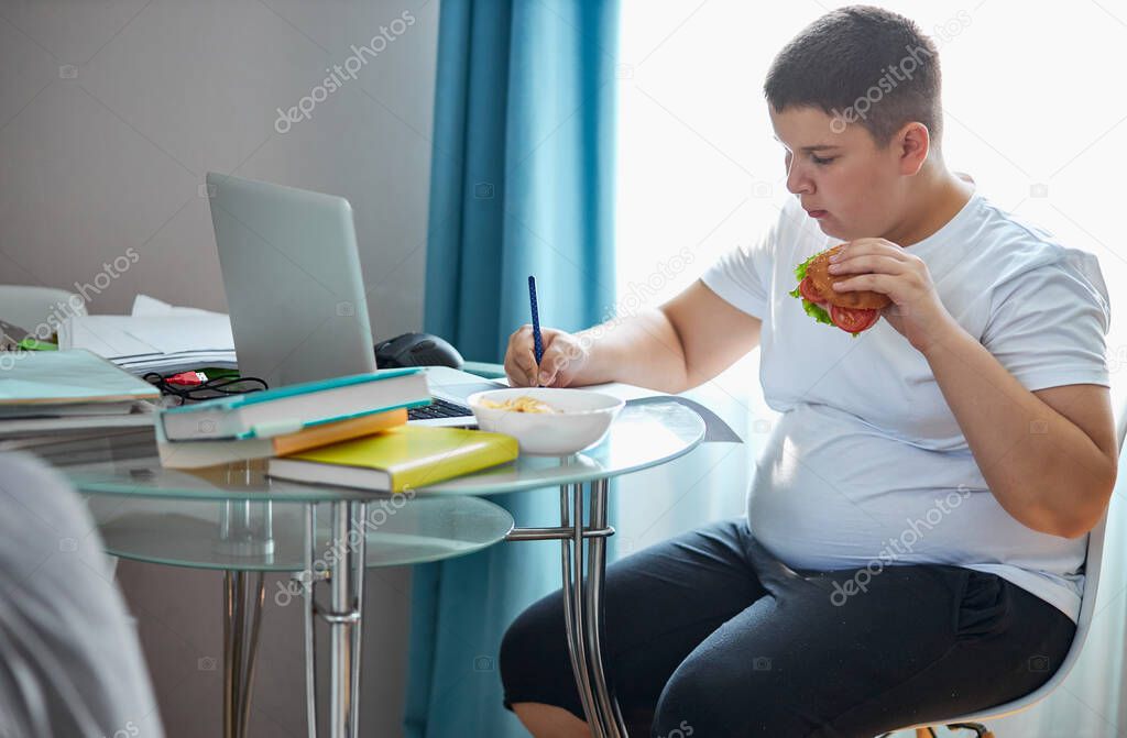 overweight school boy eat sandwich while doing homework