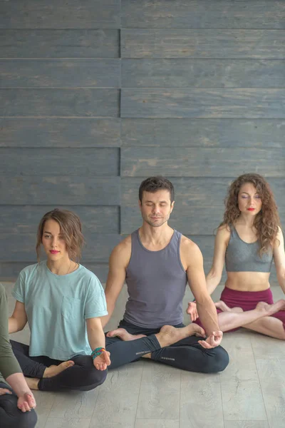 Jonge vrouwen en mannen mediteren terwijl ze yoga beoefenen in een trainingshal. Vrijheidsconcept. Kalmte en ontspanning, geluk — Stockfoto