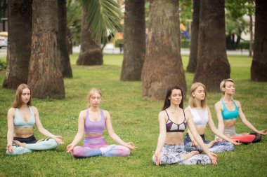 Bir grup genç yoga sınıfında meditasyon yapıyor. Yoga konsepti.
