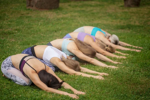 Dışarıdaki yeşil park bahçesinde yoga yapan bir grup sağlıklı kadın meditasyon yapıyor. — Stok fotoğraf