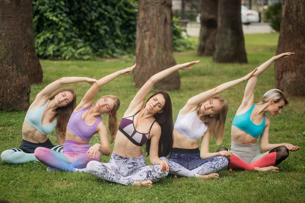 Bir grup sağlıklı kadın açık yeşil park bahçesinde yoga yapıyor. — Stok fotoğraf