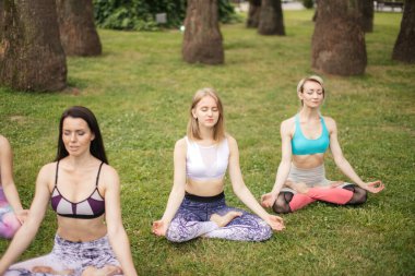 Bir grup genç yoga sınıfında meditasyon yapıyor. Yoga konsepti.