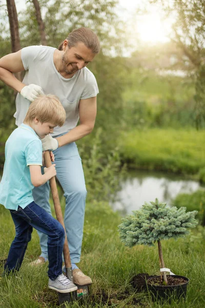 大人の父と彼の息子が公園で屋外に木を植えるのを微笑む. — ストック写真