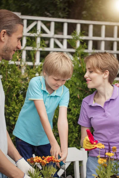 Boy kid helps parents planting flower in pot. Gardening, planting concept. — Stock Photo, Image