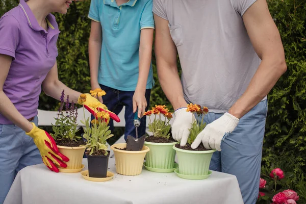 Jardineiros familiares com criança plantando flores em vasos com solo na fazenda — Fotografia de Stock