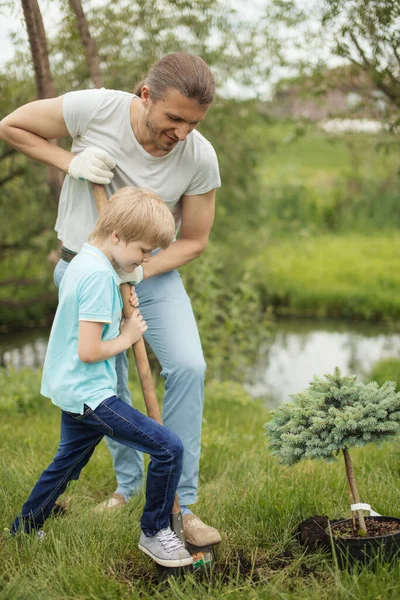 Tersenyum ayah dewasa dan anaknya menanam pohon di luar ruangan di taman. — Stok Foto