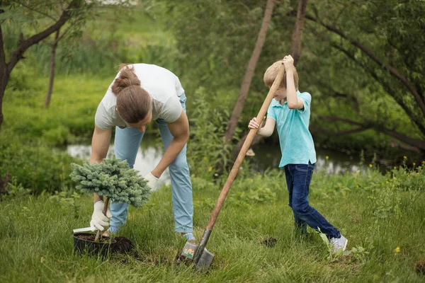 Smiling adult father and his son planting a tree outdoors in park. — Stock Photo, Image