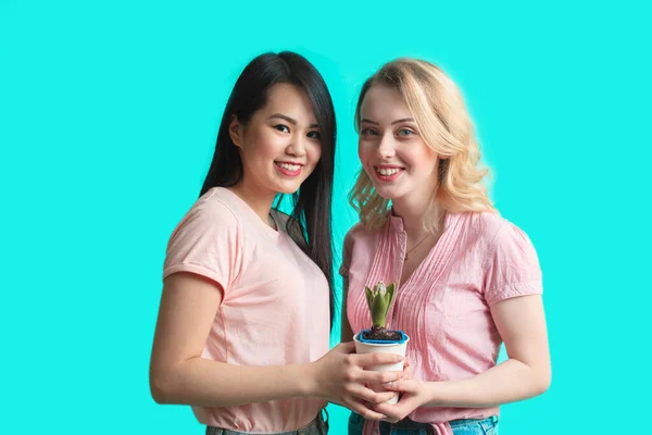 Paar vrouwelijke bloemist houden cactus in pot geïsoleerd op blauwe achtergrond — Stockfoto