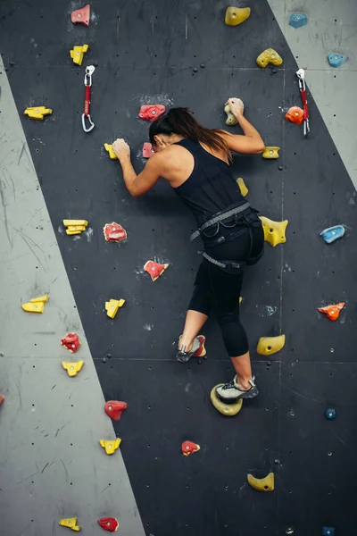 Mujer en forma en la pared de escalada en el gimnasio —  Fotos de Stock