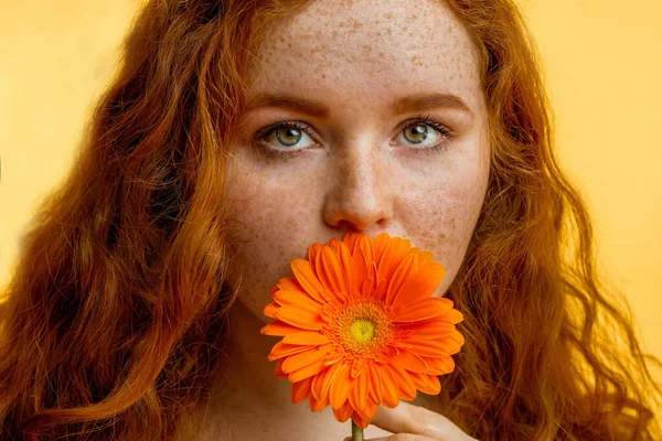 Nahaufnahme der schönen rothaarigen Frau riecht Blume über gelbem Hintergrund — Stockfoto