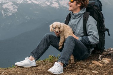 Kesilmiş fotoğrafı kapat. Cici köpek kavgadan korkuyor.