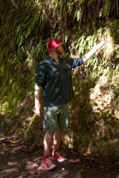 Turista s batohem procházky v horském lese, lezení na útes — Stock fotografie