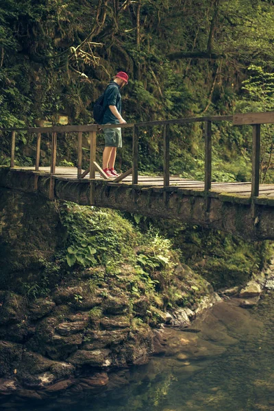 Ταξιδιώτης διασχίζει κρεμαστή γέφυρα στο καταπράσινο καλοκαιρινό δάσος. — Φωτογραφία Αρχείου