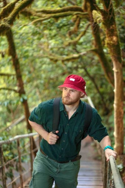 Cestovatel s batohem lezení přes dřevěný most v zeleném lese — Stock fotografie