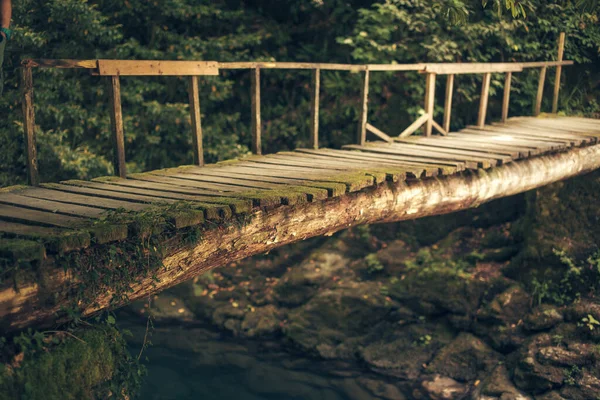 Vieux pont en bois dans la forêt profonde, fond naturel vintage — Photo