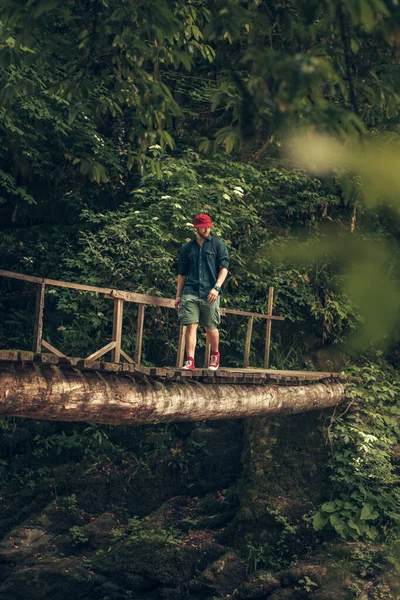 Gezgin yeşil yaz ormanında asılı köprüden geçer.. — Stok fotoğraf